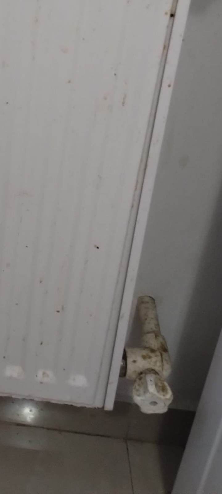 Galerie poze portofoliu