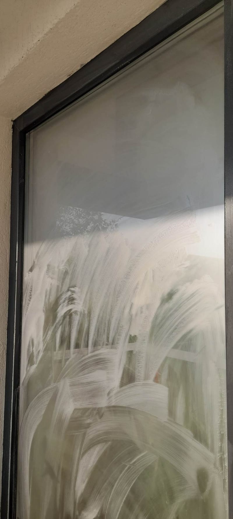 Galerie poze portofoliu