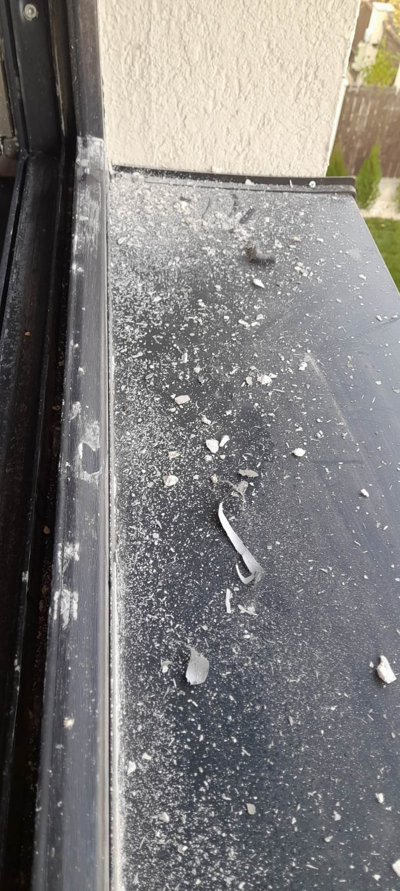 Galerie poze portofoliu