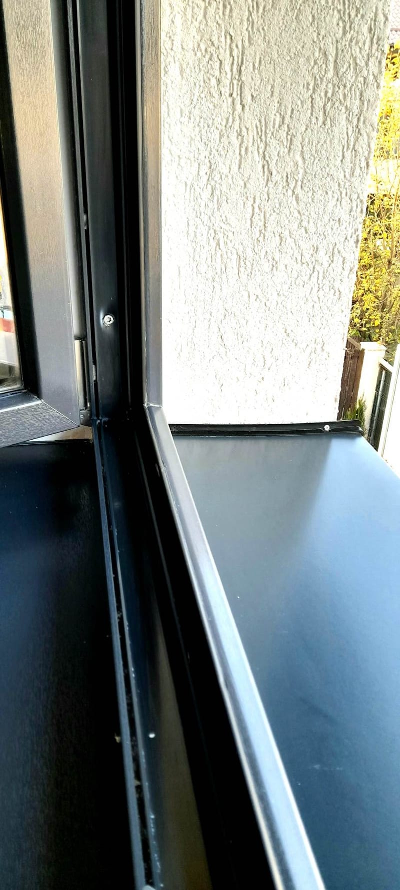 Galerie poze portofoliu