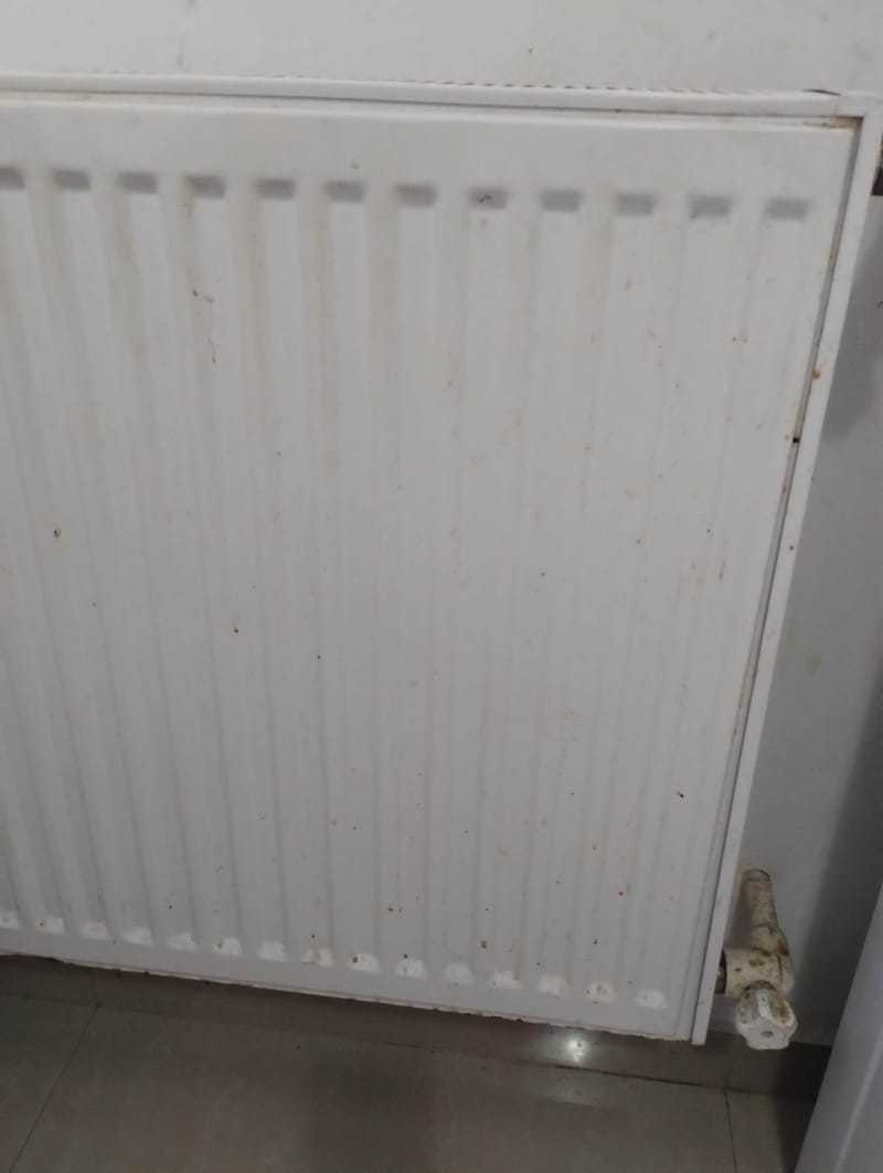 Galerie poze portofoliu