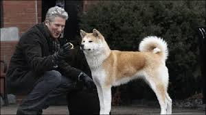 ΚΙΝΗΜΑΤΟΓΡΑΦΟΣ  ΕΙΣΟΔΟΣ ΕΛΕΥΘΕΡΗ