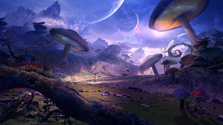 Psilocybe cubensis: perspectivas futuras e estudos emergentes sobre a depressão