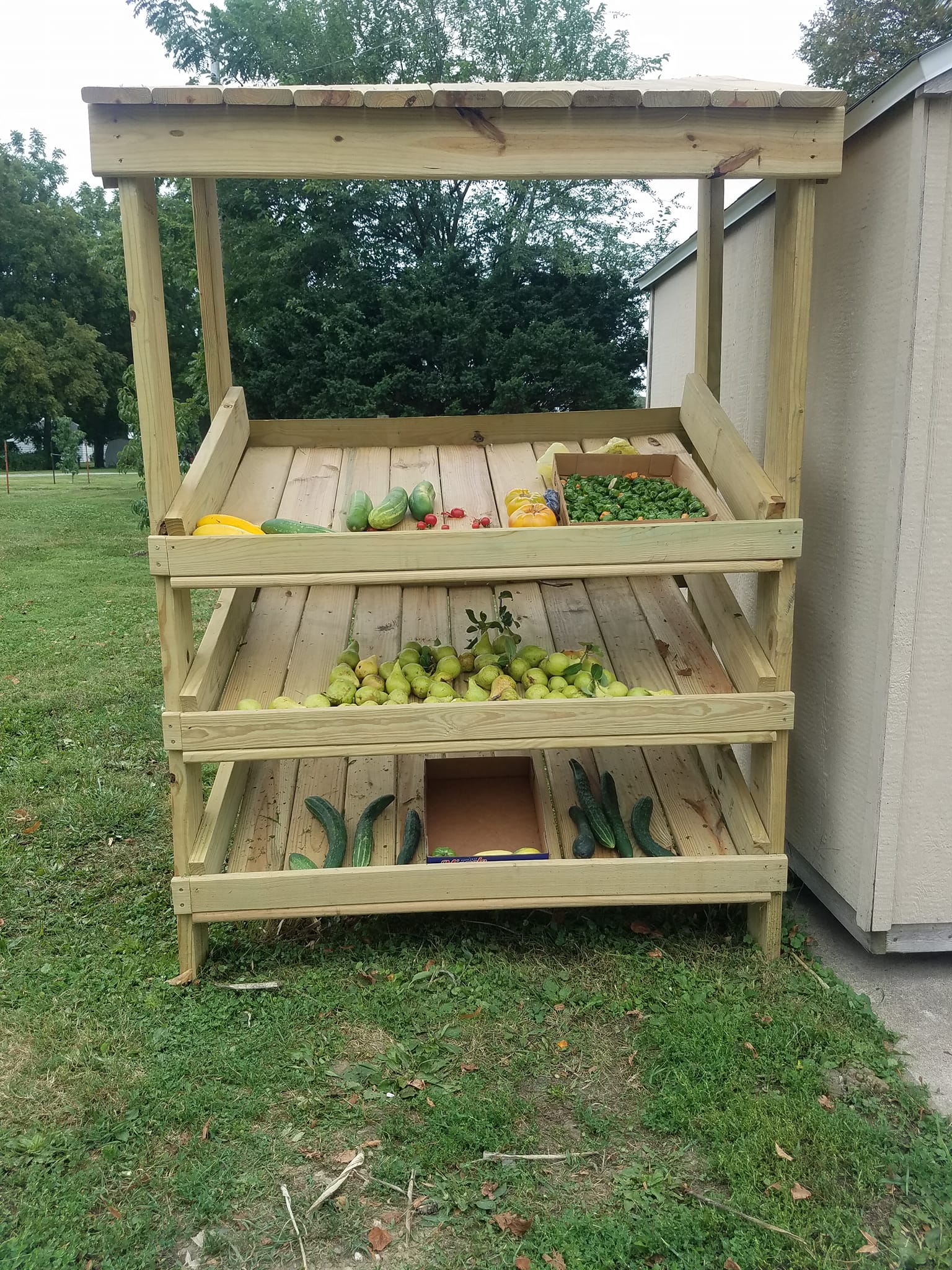 Community Garden