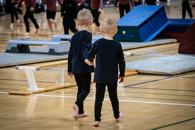 Forårsopvisning Give marts 2023