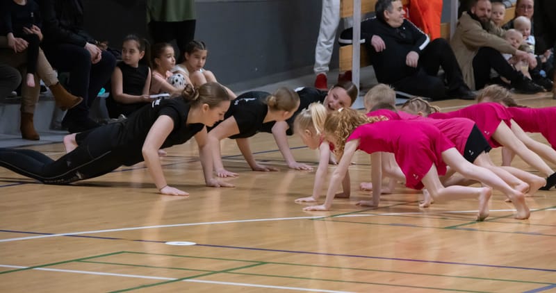 Forårsopvisning Give marts 2023