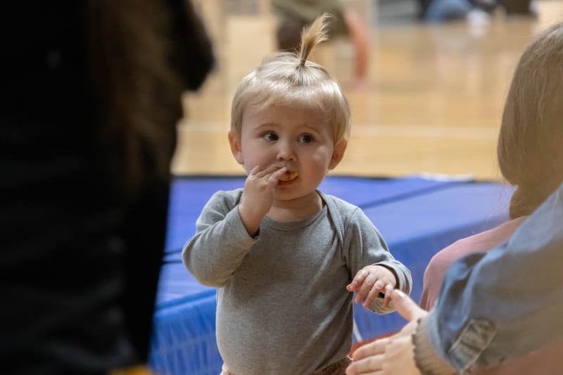 Forårsopvisning Give marts 2023