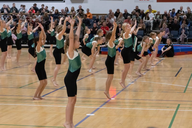 Forårsopvisning Give marts 2023