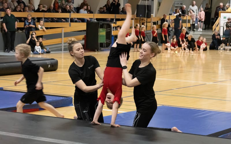 Forårsopvisning Give marts 2023