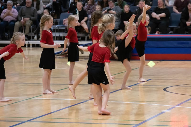 Forårsopvisning Give marts 2023