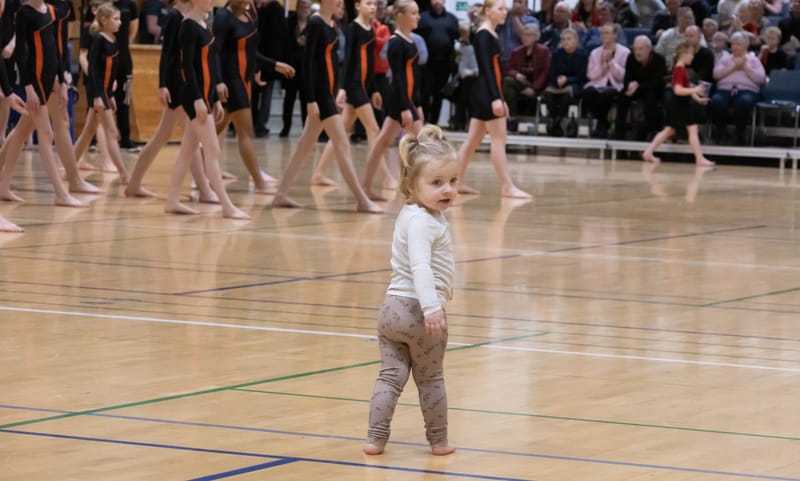 Forårsopvisning Give marts 2023