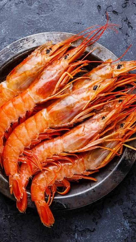 Elaboración de Productos