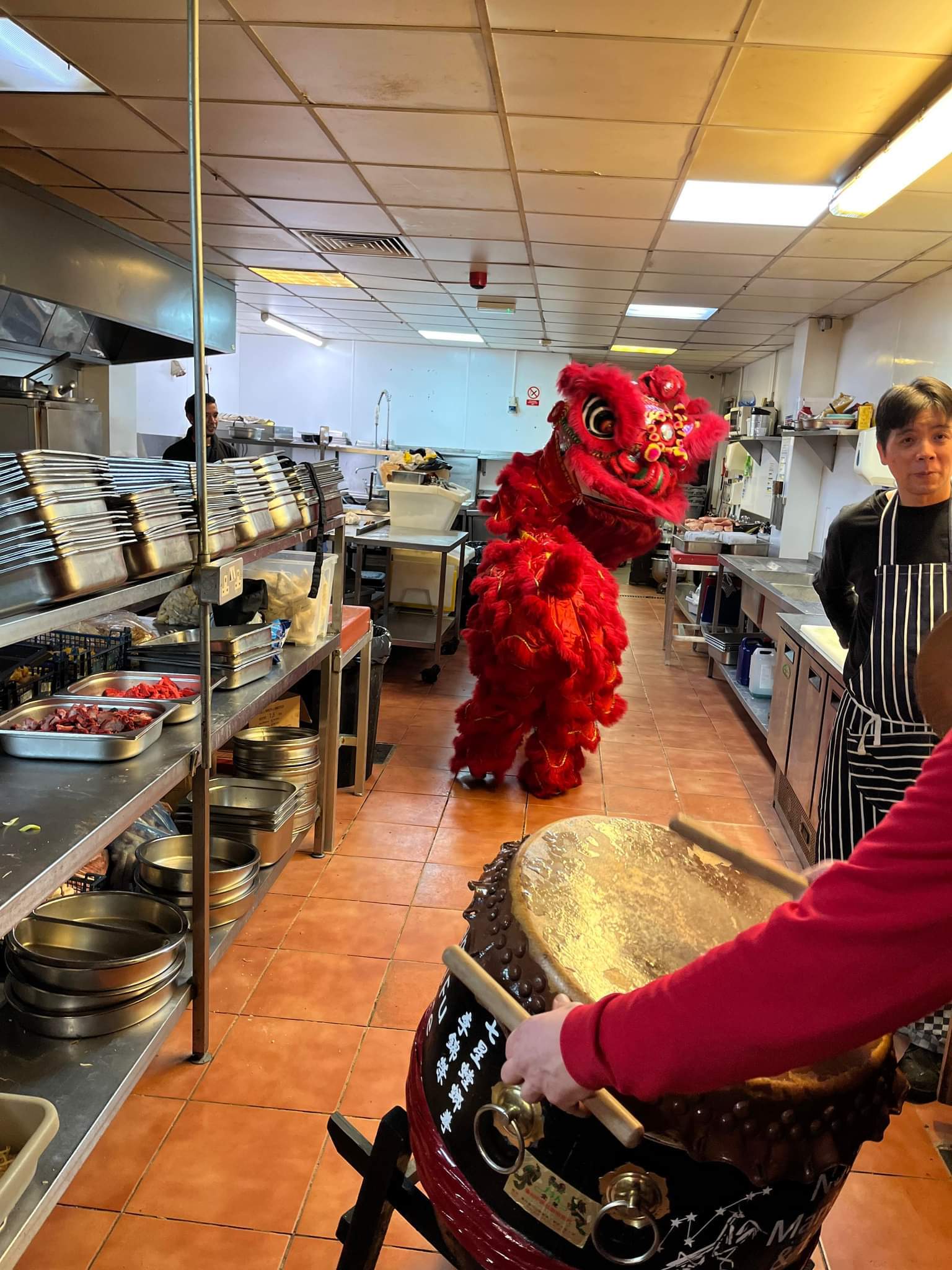 Our lion blessing the kitchen at new year