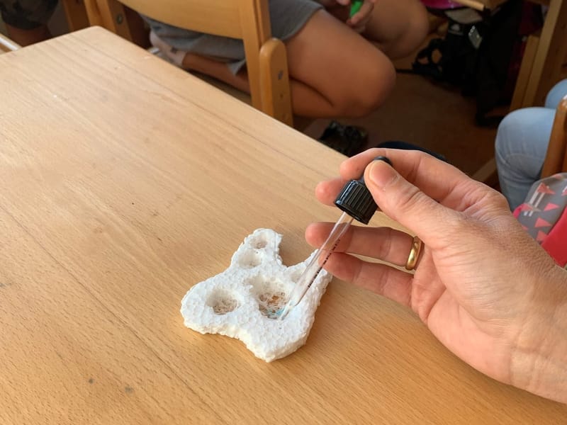 Aktion Apollonia 2020