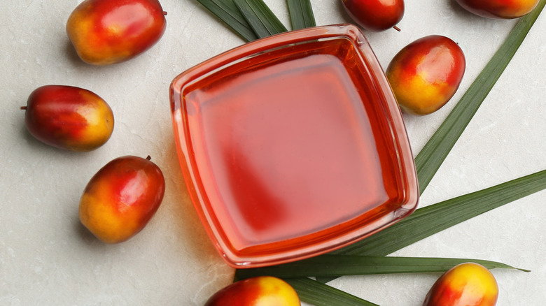 Palm Oil as Your Passport to Flavorful Creations - Copy