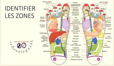 ZONES REFLEXES image