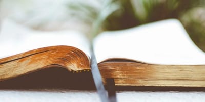 When you need comfort ...