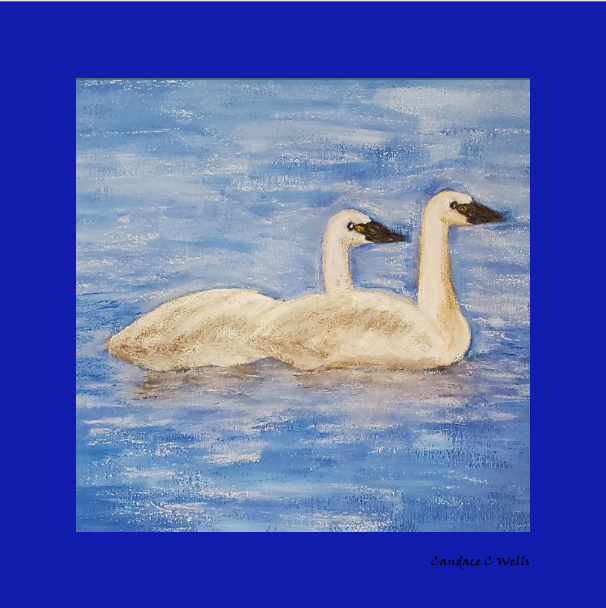 The Swans 12x12 Print on Metal