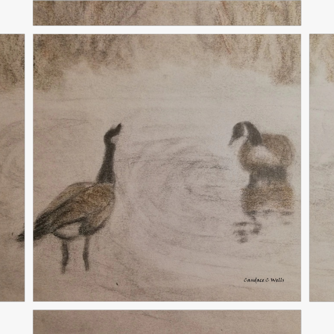 Talking Geese 12x12 Print on Wrapped Canvas