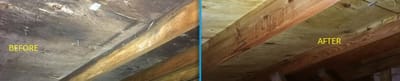 Mold Remediation image