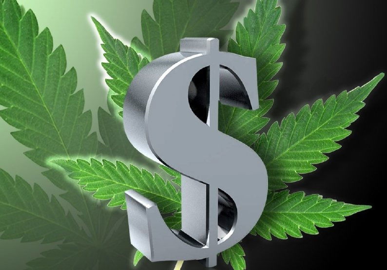 Certified Cannabis Accountants