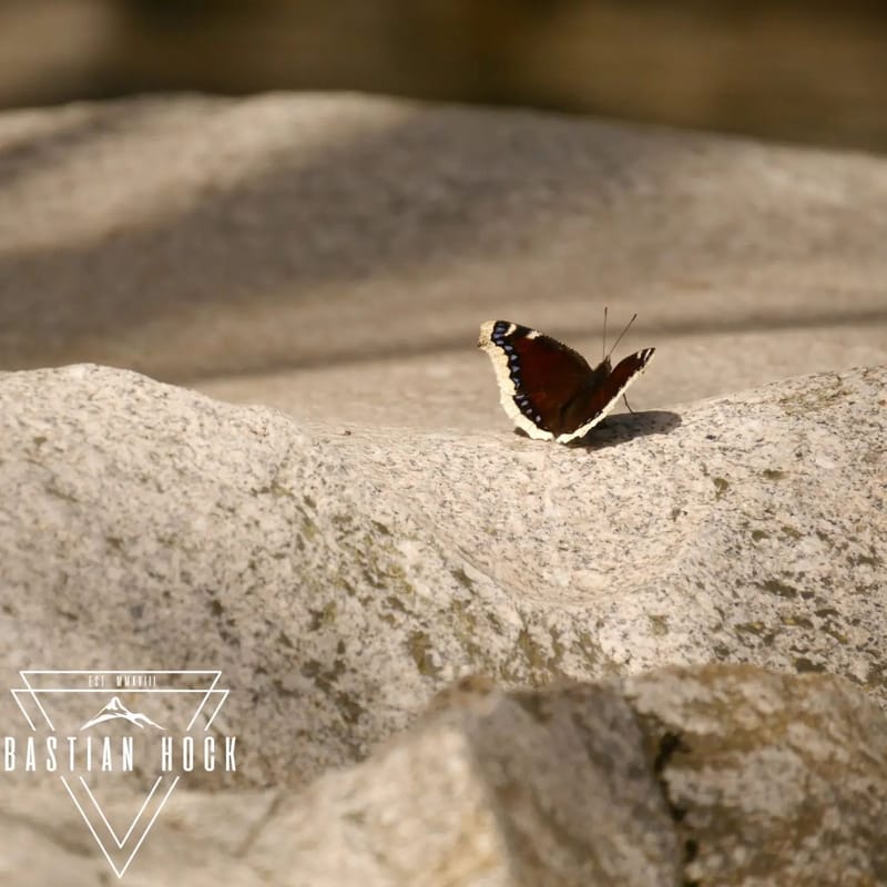 KEIN MENSCH KANN DEN ANDEREN VON SEINEM LEID BEFREIEN. ABER ER KANN IHM MUT MACHEN, DAS LEID ZU TRAGEN.