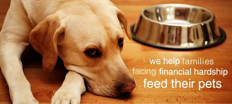 Even The fur  Babies are taken care of