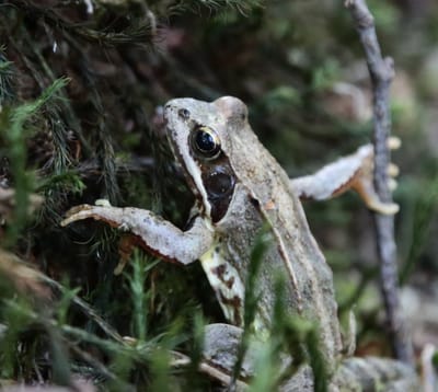 Wir freuen uns auf dich ! image