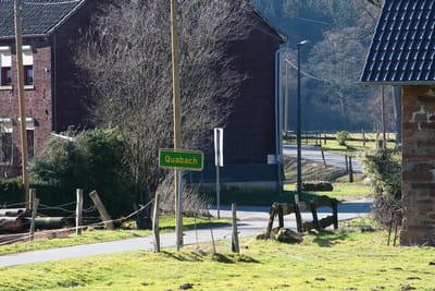 Amphibienschutzzaun  Lindlar - Quabach