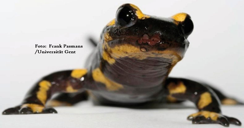 Ausbreitung verhindern !