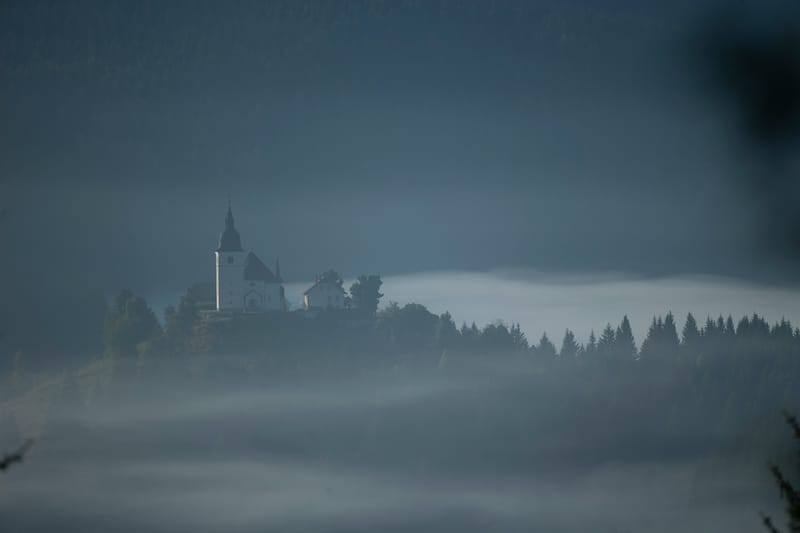 Ours Slovène et autres