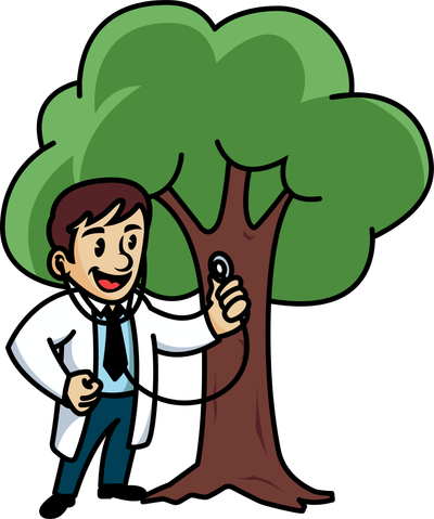 yourtreedoc.com