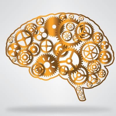psilocybe  image