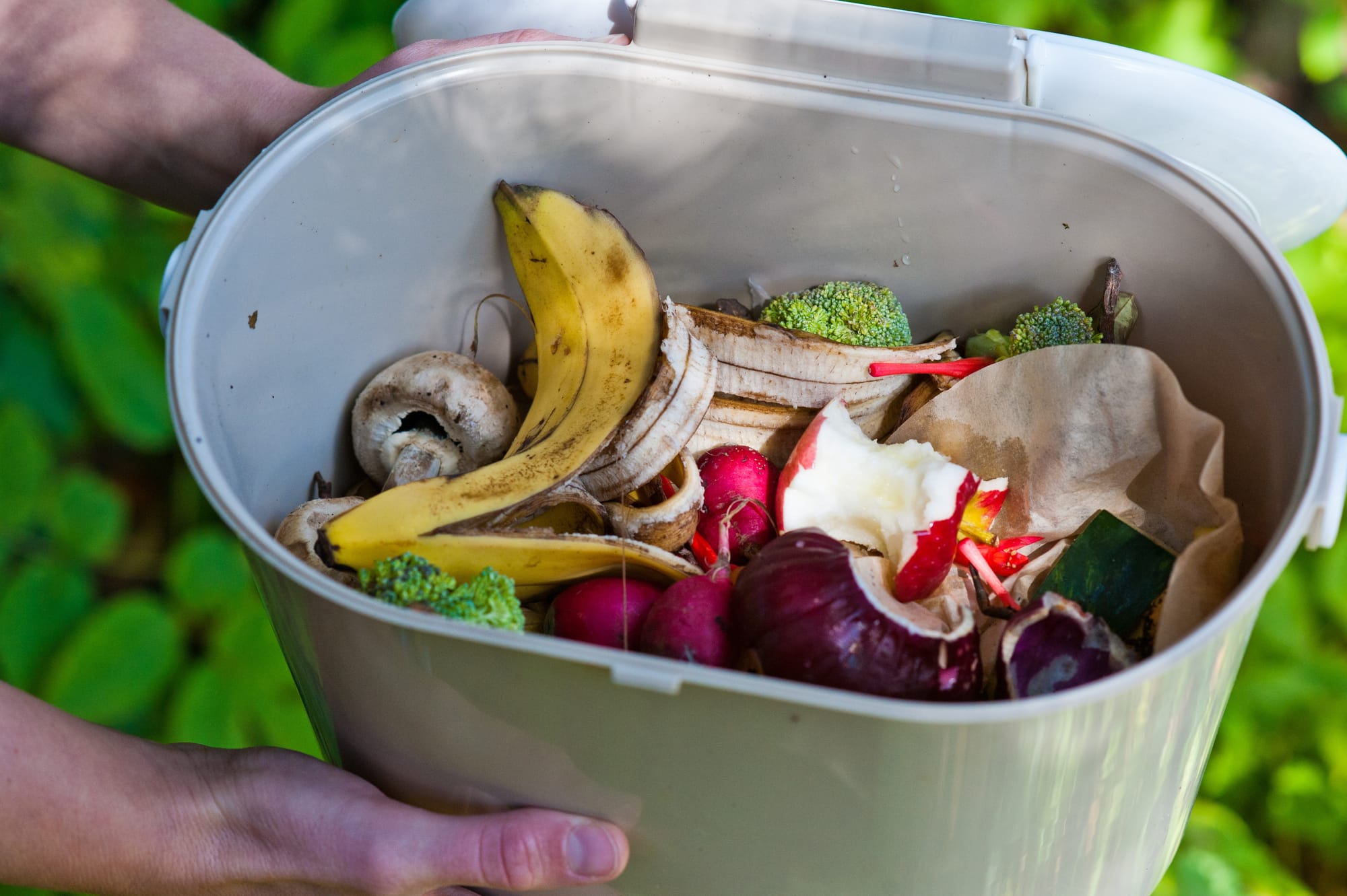 Eco tip# 975