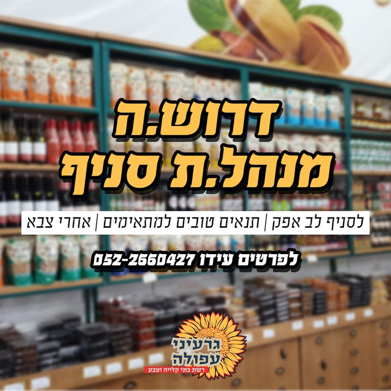 עיצוב וקרייאטיב