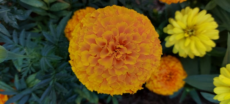 Consultation de psychologie