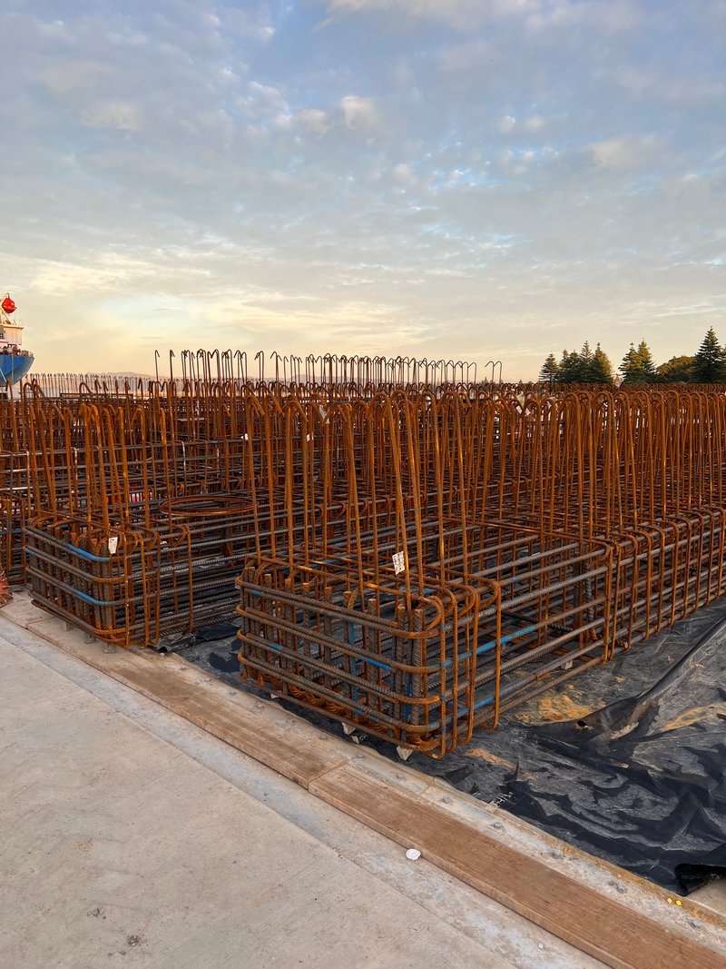 The fabricating, placing and fixing of Pile Plugs, Head Stocks, Capping Beams, Retaining walls and Deck Slabs.