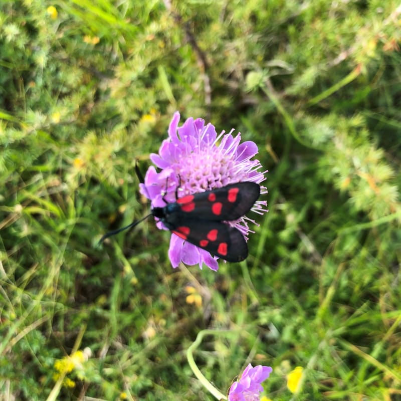 Reconstruction – Une nouvelle Moi...