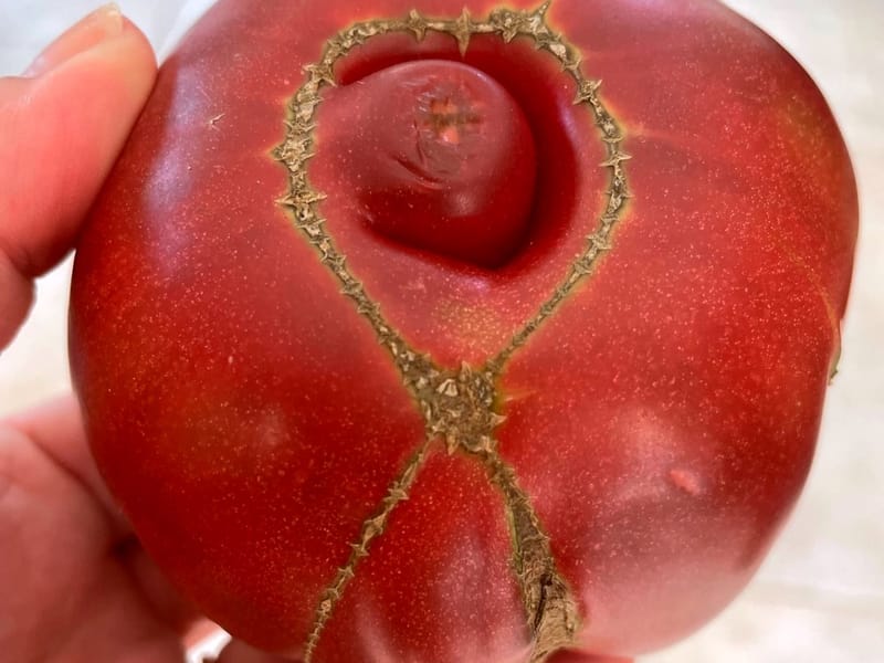 Message reçu 5 sur 5!