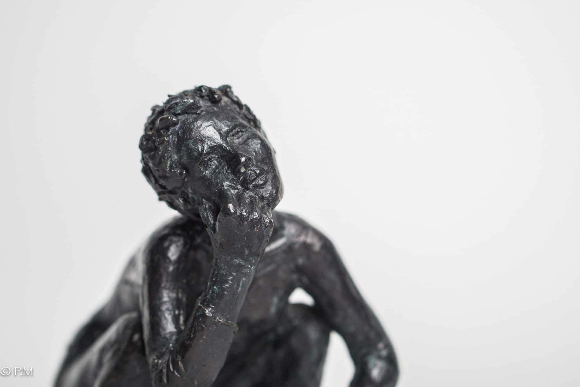 LES PIEDS SUR TERRRE MAIS...