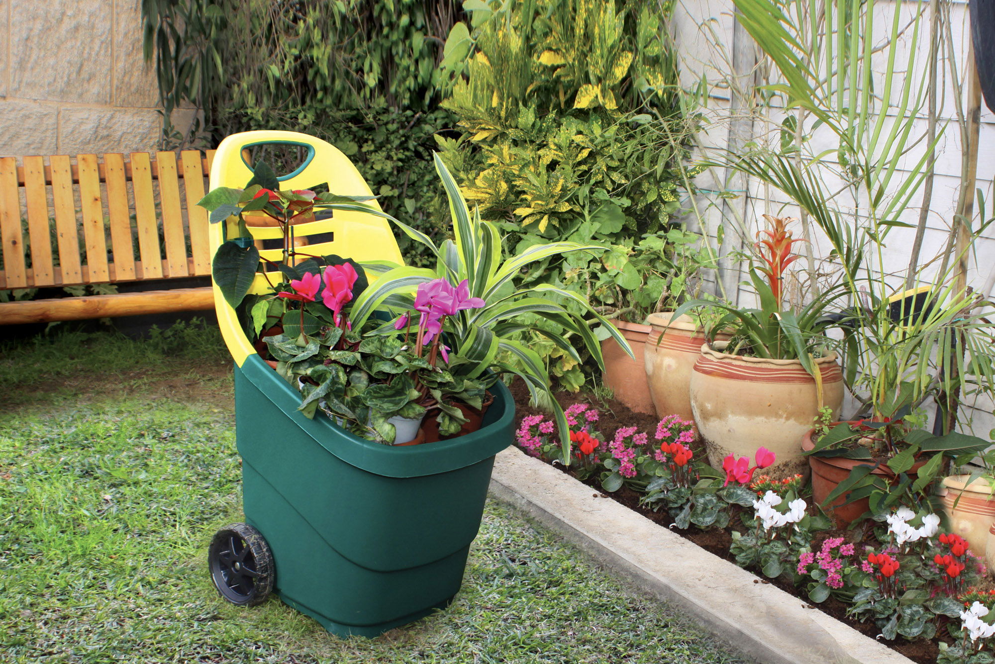 צילום והדמיה