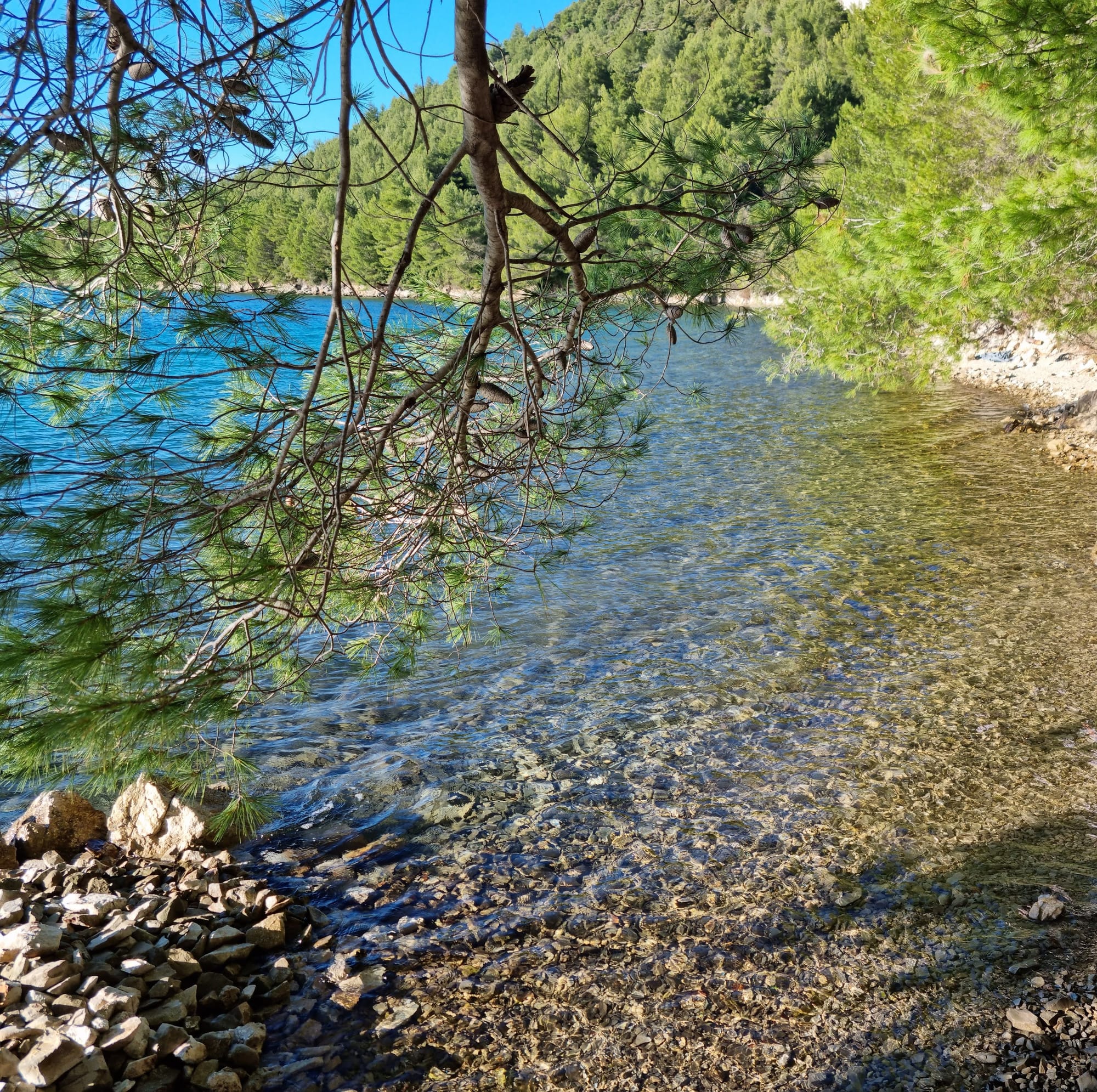 Maslina Bay (Zec) - 140 meters long private beach