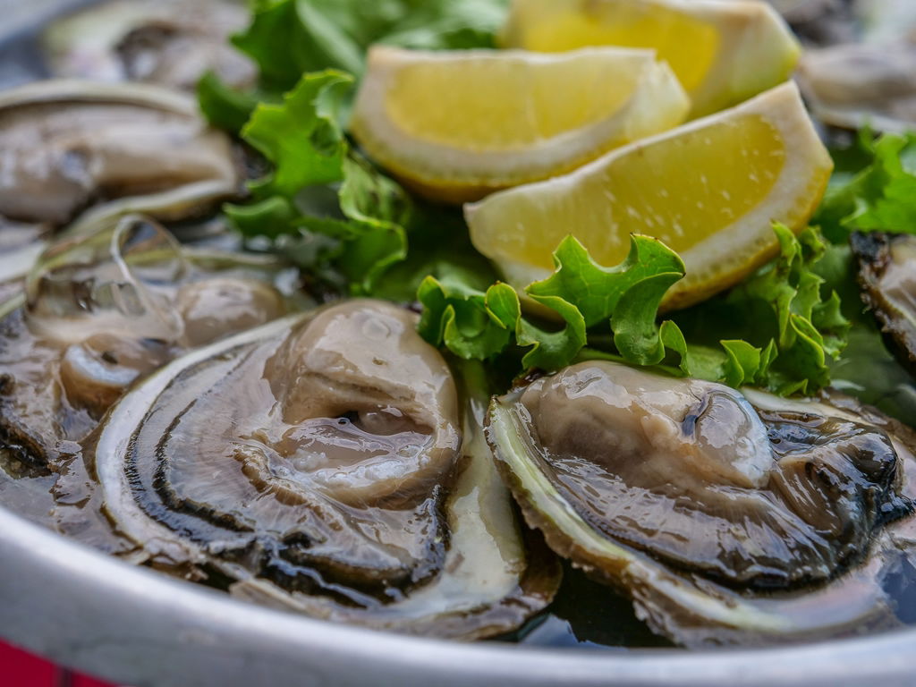 Bay of Mali Ston - World's best oysters