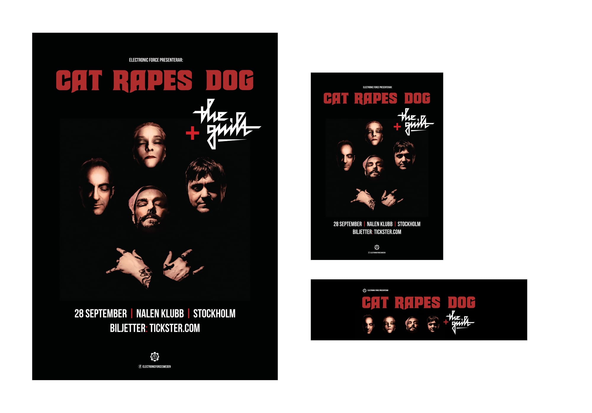 Live music event: Cat Rapes Dog + support