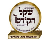 דזי'קוב ויז'ניץ: מעמד יסוד קופת 'עזר נישואין' בחצר הקודש יערך הערב יום שלישי