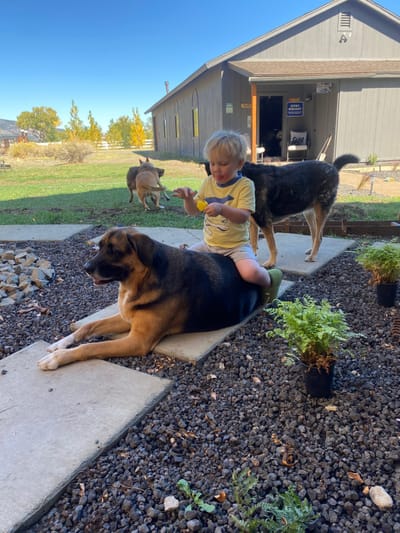 About dalton and Remie image