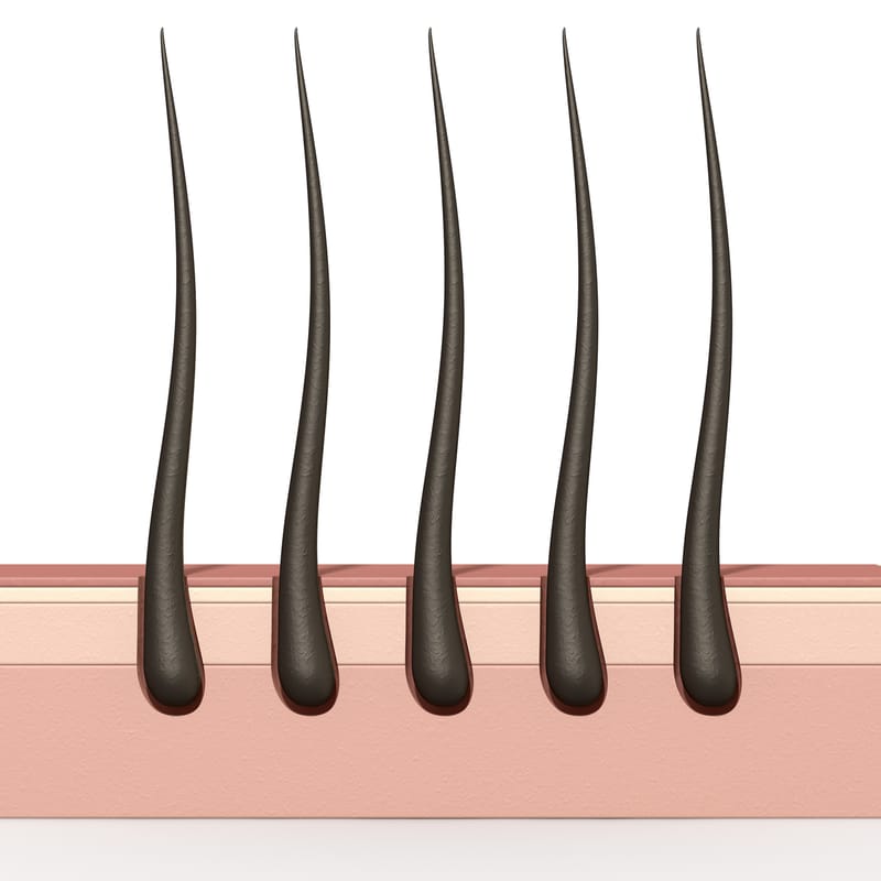 Hair Epigenetics Analysis