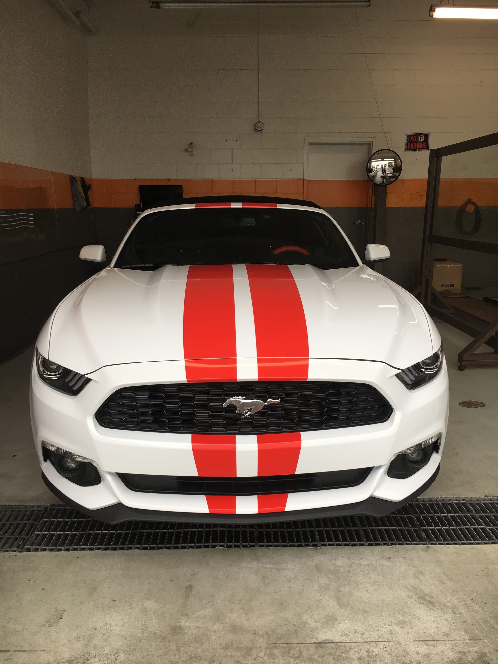 Stripes Mustang