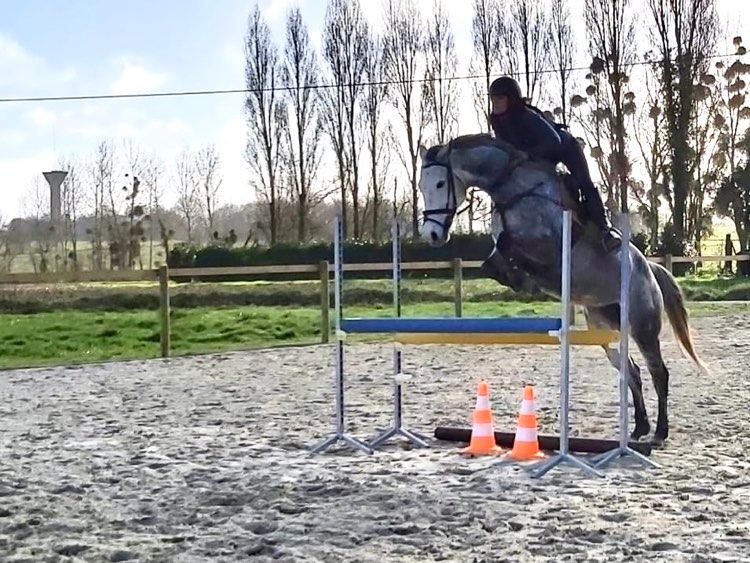 Carrière en sable de fontainebleau