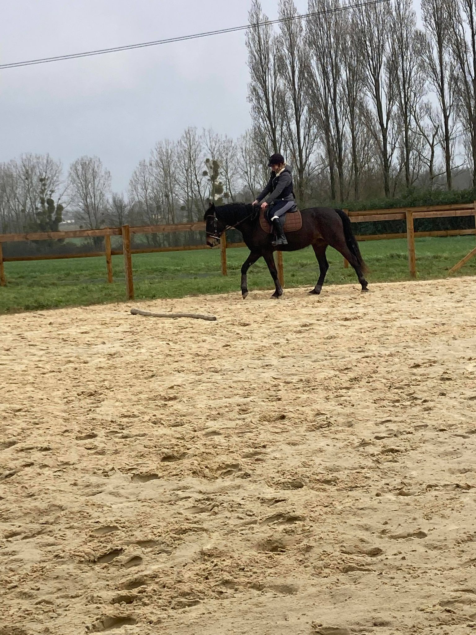 Kurades de Fredleau (TF)